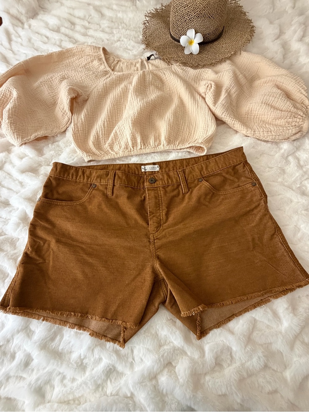 Carve Designs Oahu Shorts Corduroy 4 inch inseam brown